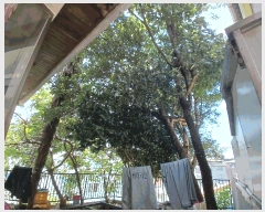  2025Ÿ��532  ���ð��