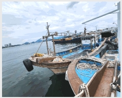  2025Ÿ��538  ���ڰ��