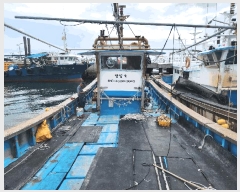  2025Ÿ��538  ���ڰ��