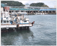  2025Ÿ��538  ���ڰ��