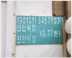  2025Ÿ��538  ���ڰ��