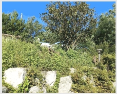  2025Ÿ��544 ���� ������ ������ �嵵�� 509-2      ����(��1)���