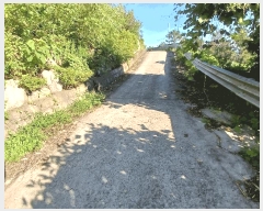  2025Ÿ��544 ���� ������ ������ �嵵�� 509-2      ����(��1)���