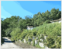  2025Ÿ��544 ���� ������ ������ �嵵�� 509-2      ����(��1)���