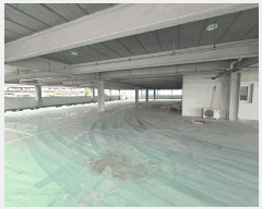  2025Ÿ��568  ����Ʈ���