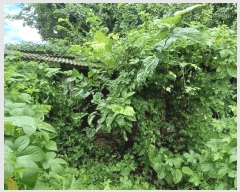  2025Ÿ��580 ���� ����� ������ ��9-8       ����(�Ӿ�)���