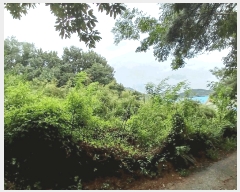  2025Ÿ��580 ���� ����� ������ ��9-8       ����(�Ӿ�)���