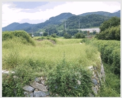  2025Ÿ��586 ���� ����� ����� ���Ÿ� 85-3      ����(��)���