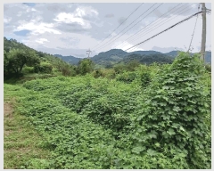  2025Ÿ��586 ���� ����� ����� ���Ÿ� 85-3      ����(��)���