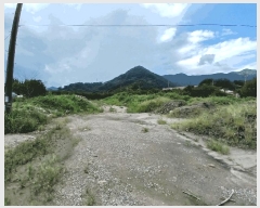  2025Ÿ��586 ���� ����� ����� ���Ÿ� 85-3      ����(��)���