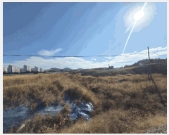  2025Ÿ��664  ����