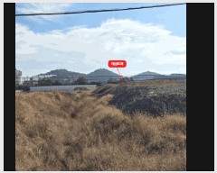  2025Ÿ��664  ����