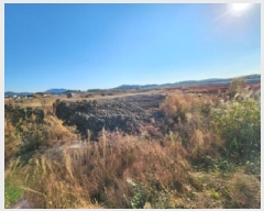  2025Ÿ��664  ����