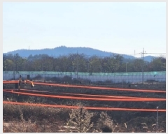  2025Ÿ��664  ����