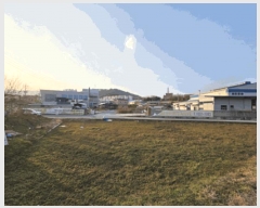  2025Ÿ��725 ���� ������ ���̸� ��ȭ�� 70-16      ����(��1)���