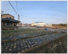  2025Ÿ��725 ���� ������ ���̸� ��ȭ�� 70-16      ����(��1)���