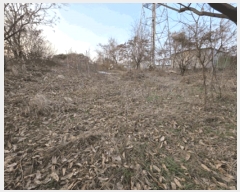  2025Ÿ��725 ���� ������ ���̸� ��ȭ�� 70-16      ����(��1)���