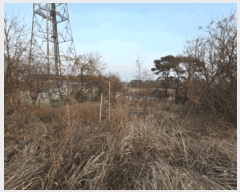  2025Ÿ��725 ���� ������ ���̸� ��ȭ�� 70-16      ����(��1)���