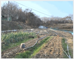  2025Ÿ��725 ���� ������ ���̸� ��ȭ�� 70-16      ����(��1)���