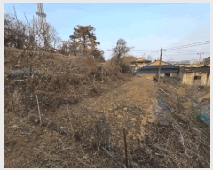  2025Ÿ��725 ���� ������ ���̸� ��ȭ�� 70-16      ����(��1)���