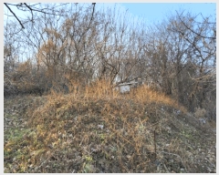  2025Ÿ��725 ���� ������ ���̸� ��ȭ�� 70-16      ����(��1)���