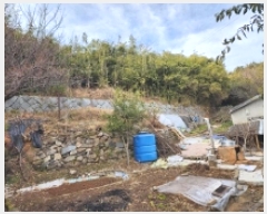  2025Ÿ50565  ﱺ   392-1      ()