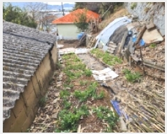  2025Ÿ50565  ﱺ  ϸ 1488-6      ()