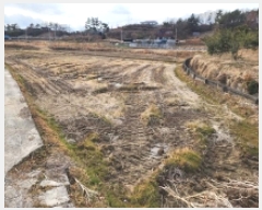  2025Ÿ��50565 ���� ���ﱺ ������ ���ϸ� 1541-69      ����(����)���