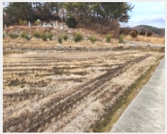  2025Ÿ��50565 ���� ���ﱺ ������ ���ϸ� 1541-69      ����(����)���