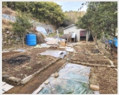  2025Ÿ50565  ﱺ  ϸ 1435-1      (1)