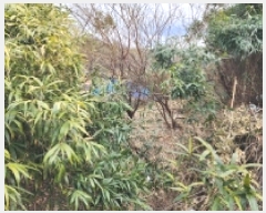  2025Ÿ50565  ﱺ  ϸ 1435-1      (1)