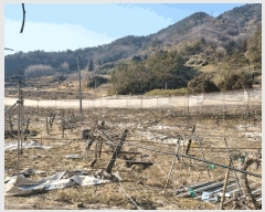  2025Ÿ50978    ĥ 215      (1)