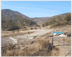  2025Ÿ50978    ĥ 215      (1)