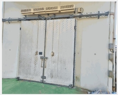  2025Ÿ50978    ĥ 215      (1)