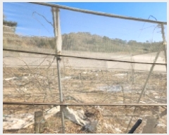  2025Ÿ50978    ĥ 215      (1)