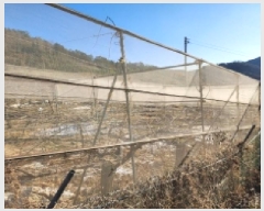  2025Ÿ50978    ĥ 215      (1)