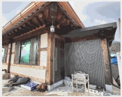  2025Ÿ��51115 ���� ���ʱ� ������ ���̸� 158-17      �ܵ�����,�����ð��