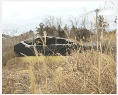  2025Ÿ51126  ﱺ ݻ  54-36      (1)