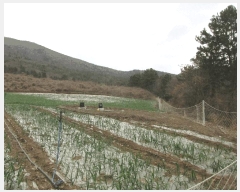  2025Ÿ51126  ﱺ ݻ  54-36      (1)