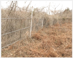  2025Ÿ51126  ﱺ ݻ  54-36      (1)