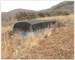  2025Ÿ51126  ﱺ ݻ  54-36      (1)