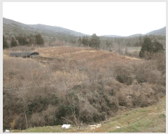  2025Ÿ51126  ﱺ ݻ  54-36      (1)