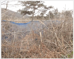  2025Ÿ51126  ﱺ ݻ  54-36      (1)