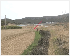  2025Ÿ51156     513      (1)