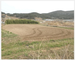  2025Ÿ51156     513      (1)