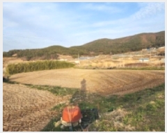  2025Ÿ51156     513      (1)