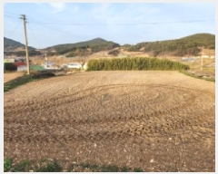  2025Ÿ51156     513      (1)