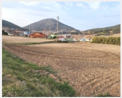  2025Ÿ51156     513      (1)