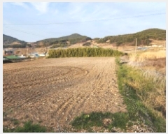  2025Ÿ51156     513      (1)