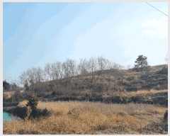  2025Ÿ51168    θ 290-13      (1)